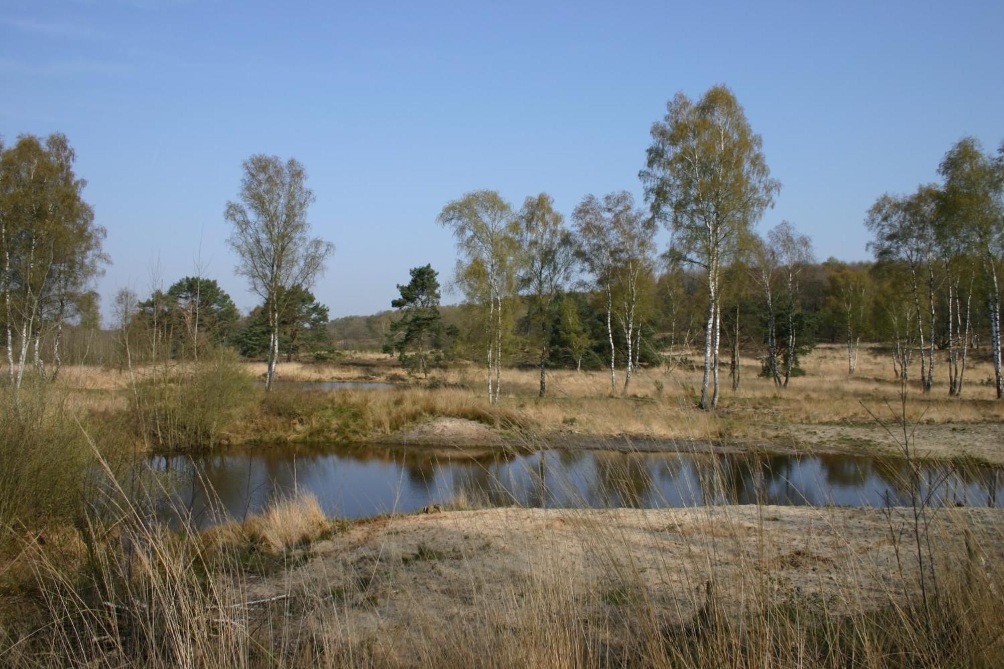 Boshotel - Vlodrop, Roermond Bagian luar foto
